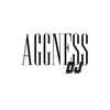 AggNèssDJ live set 2012 Podcast  artwork