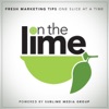 On The Lime artwork