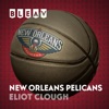 Bleav in the New Orleans Pelicans artwork