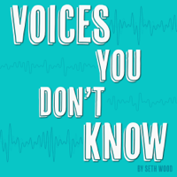Voices You Don't Know podcast