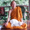 Luangpor Paisal Visalo's Podcast (หลวงพ่อไพศาล วิสาโล)
