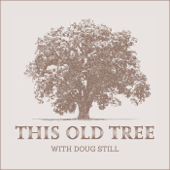 This Old Tree - Doug Still