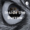 Inside the Burrow artwork