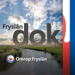 FryslânDOK, ferhalen fan it flakke lân