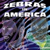 Zebras In America artwork