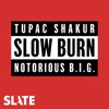 Slow Burn artwork