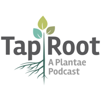 The Taproot podcast