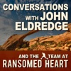 John Eldredge and Wild at Heart (Audio) artwork