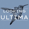 Looking For Ultima artwork