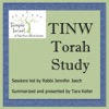 TINW Torah Study artwork