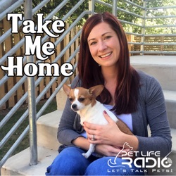 Take Me Home - Episode 124 A New Approach to Affordable and Accessible Veterinary Care Plus the 12 Cats of Christmas!