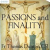 Passions and Finality – THE BROTHERS OF ST JOHN artwork