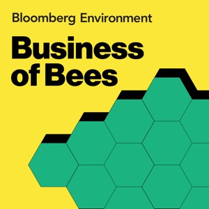Business of Bees