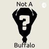 Not a Buffalo artwork