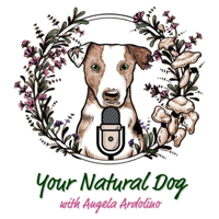 37. Truth About Pet Food with Susan Thixton