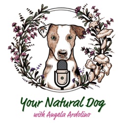 97. Choosing the Right Mushroom Supplement for Pets with Krysta Fox