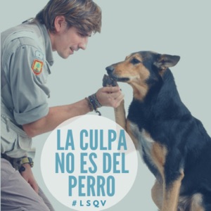 Mi perro se ladra con otros a traves del alambrado: es peligroso o solo ladridos?