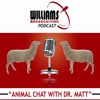 Animal Chat with Dr. Matt artwork