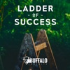 Ladder of Success artwork