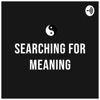 Searching For Meaning artwork