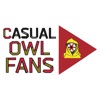 Casual OWL Fans artwork