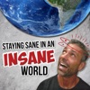 Staying Sane in an Insane World artwork