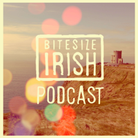 Life in Medieval Ireland with Fin Dwyer (Ep. 22)