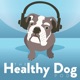 The thehealthydogpod’s Podcast