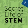 Secret Life of STEM artwork