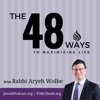 48 Ways with Rabbi Aryeh Wolbe artwork