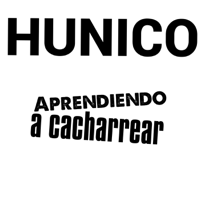 Hunico aprendiendo a cacharrear