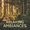 Relaxing Ambiances artwork