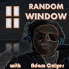 Random Window artwork