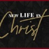 New Life In Christ Podcast--Michigan artwork