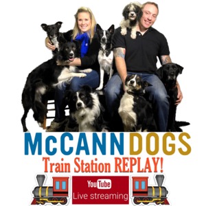 McCann Dog Training - Train Station Replay