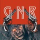 Guns N' Roses News  Is GNR's Social Media Pages Photoshopping Axl Rose?