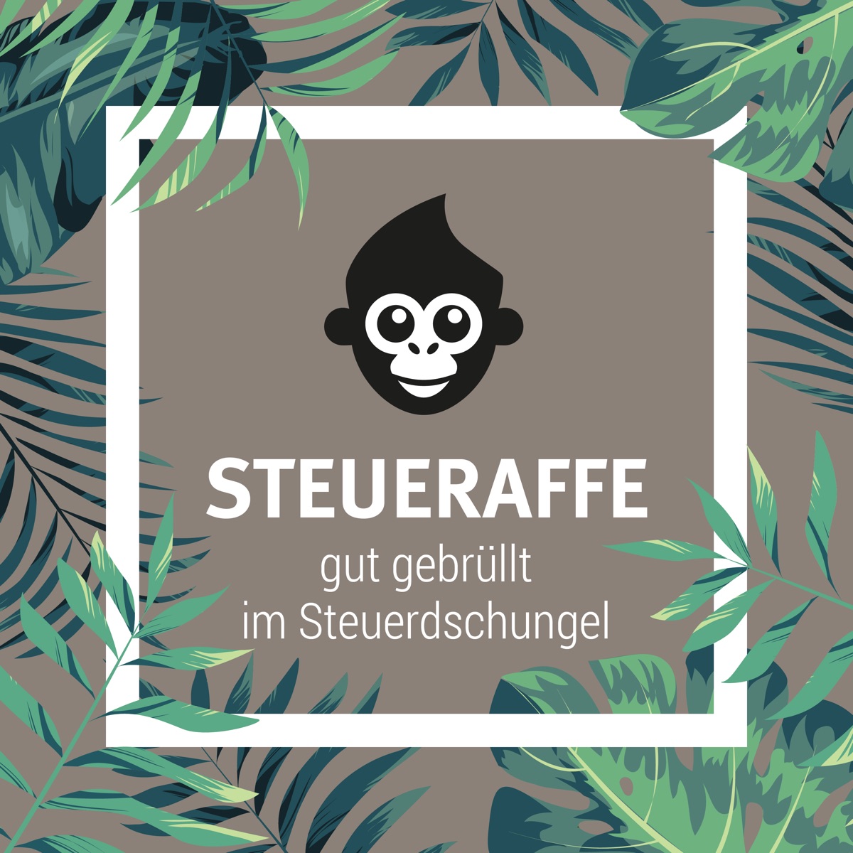 Steueraffe Podcast Podtail