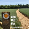 Walk This Way - discovering Long Distance Paths of the UK  artwork
