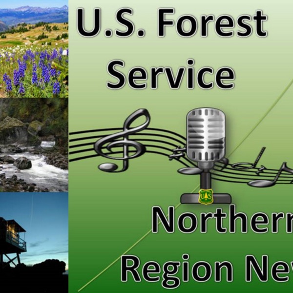 USFS Northern Region - Northern Region News Artwork