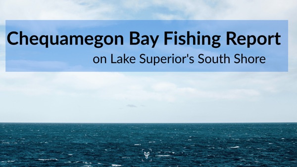 Chequamegon Bay Fishing Report Artwork