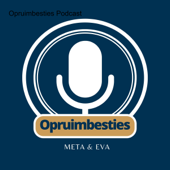 de Opruimbesties Podcast - Eva Kolk & Meta Wielage