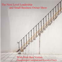 The Next Level Leadership and Small Business Owner Show