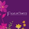 Focus on Flowers artwork