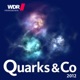 Quarks und Co 2012