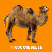 #100cosebelle - Andrea Ciraolo e Anna Polgatti