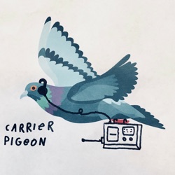 Carrier Pigeon