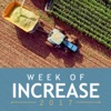 Week Of Increase 2017 Audio artwork