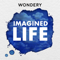 Imagined Life