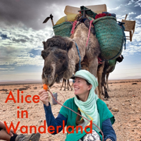 S01E22, Alice in Wanderland