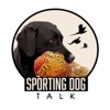 Sporting Dog Talk artwork